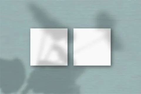 2 square sheets of white textured paper on the green wall background. Mockup  Stock Illustration