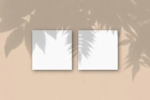 2 square sheets of white textured paper on the peach wall background. Mockup  Illustrazione stock