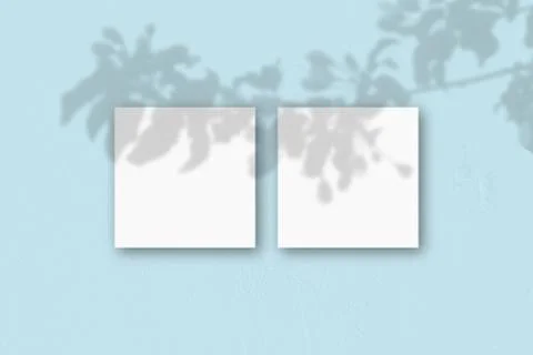 2 square sheets of white textured paper on the blue wall background. Mockup o Stock Illustration