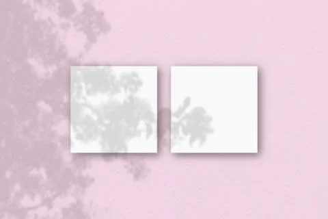 2 square sheets of white textured paper on the pink wall background. Mockup o Stock Illustration