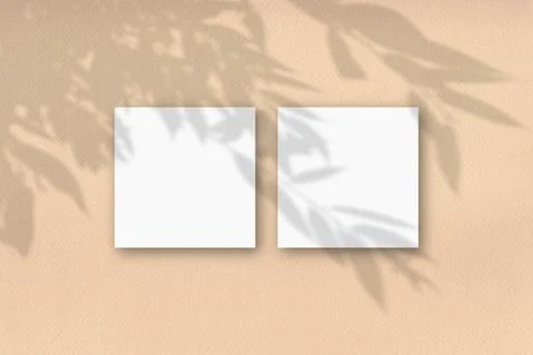 2 square sheets of white textured paper against a beige wall. Mockup overlay Stock Illustration