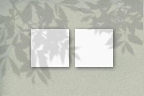 2 square sheets of white textured paper against a gray-green wall. Mockup Stock Illustration