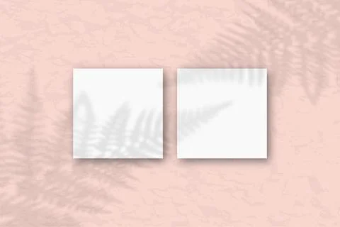 2 square sheets of white textured paper on the pink wall background. Mockup with Stock Illustration