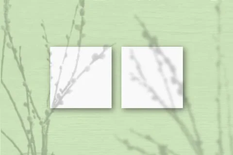 2 square sheets of white textured paper on the light green wall background. M Stock Illustration