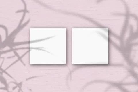 2 square sheets of white textured paper on the pink wall background. Mockup o Stock Illustration