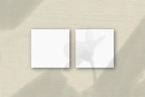 2 square sheets of white textured paper on the grey wall background. Mockup o Stock Illustration