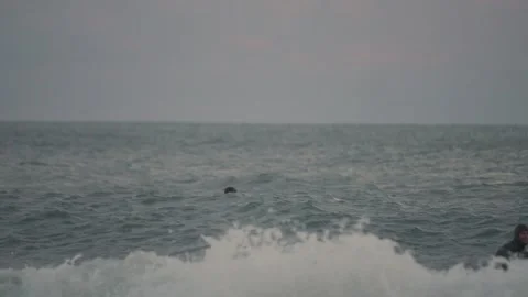 2 surfers sit on big waves in Lake Michigan on Bradford beach Video stock 166254877
