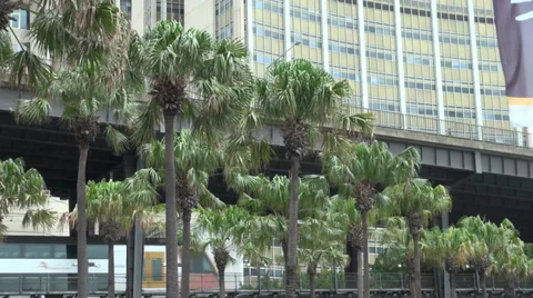 2 Trains passing Stock Footage 36084347