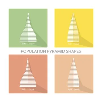 The 2 Types of Population Pyramids Graphs Stock Illustration