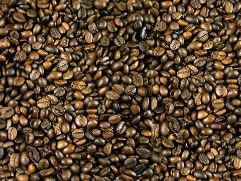 2 types of roasted coffee beans, Arabica and Robatta Stock-Fotos