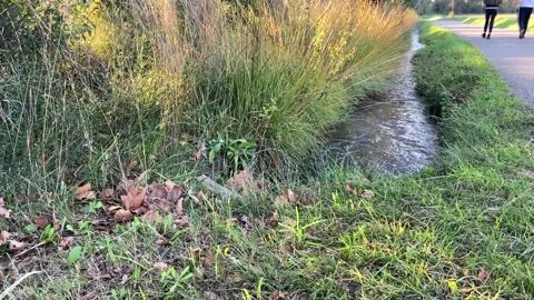 2 unrecognizable people walking by a stream or canal Stock Footage 293283219