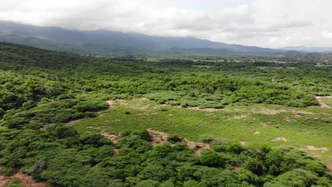 2 VARIOS Stock Footage 136203864