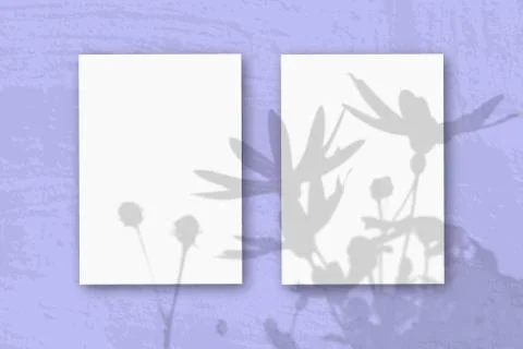 2 vertical sheets of textured white paper on soft blue table background. Mock Stock Photos