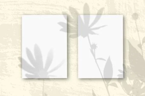 2 vertical sheets of textured white paper on soft yellow table background. Mo Stock Photos