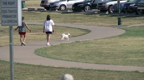 2 Walkers on Path with Dog Stock Footage 8554153