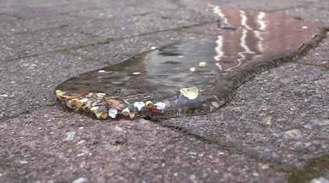 2. Water flows over the ground Stock Footage 5165521