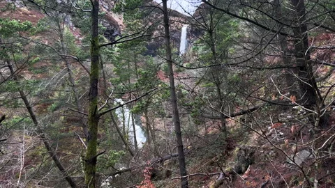 2 waterfalls in a forest Stock-Footage 239652517