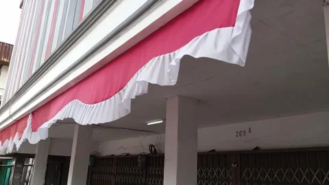 2 waving flag Stock Footage 222880527