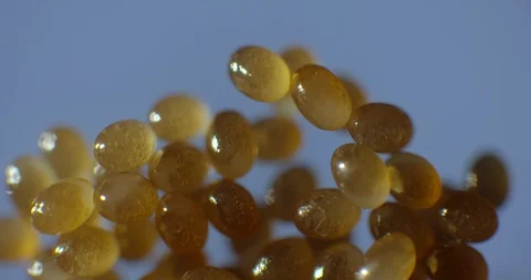 2 week old tick eggs Stock Footage 113131148