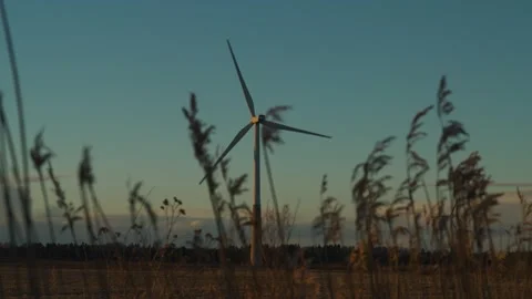 2 wind turbines and grass Stock Footage 309878119