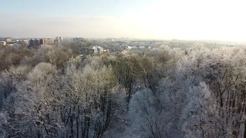 2 winter flight, quadcopter, trees, city, top view, frost, cold Vídeos de archivo 265237033