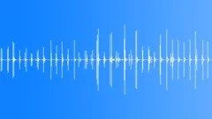 2 women walking on pavement, loopable, SFXSound Effect