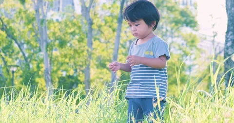 2 Year asian boy playing in grass field city green park morning sunrise Stock Footage 139507301