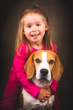 2 yeras old child hugging best friend dog. Happy childhood with pet Beagle. Stock Photos