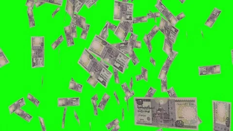20 EGYPTIAN POUND notes falling Green screen Stock Footage 258454427