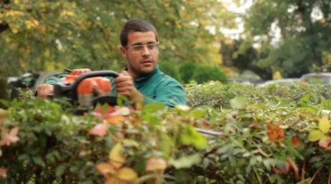 20. Gardener trimming hedge.Worker shaping bushy fence.Electric trimmer.Cutting. 스톡 동영상 42776549
