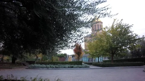 20 olive tree in the square in front of the Christian church Video stock 267421174