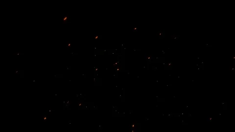 20-particle-dust-effects 스톡 동영상 126229972