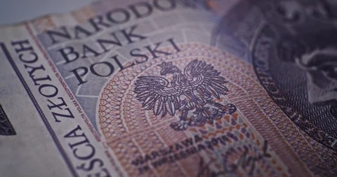 20 PLN Deatails CloseUp EU currency Vídeo Stock 120259147