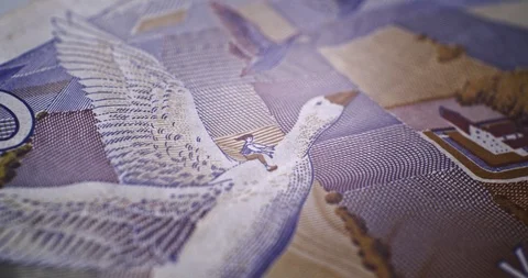 20 SEK CloseUp Deatails EU currency Vídeo Stock 120264760