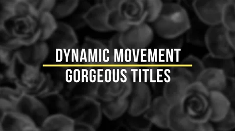 20 Title Typography Animation Stockmateriaal After Effects