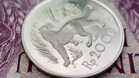 2000 rupiah 1974 Stock Footage 291793850