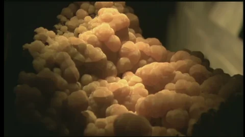 2000s: UNITED STATES: examples of minerals. Man talks to girl. Man demonstrates Stock Footage 119505053