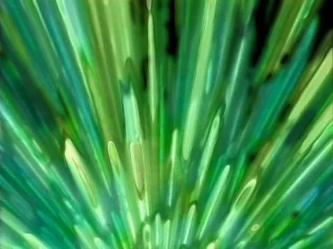 2006 Kryptonite1 P-JPEG Stock Footage 460243