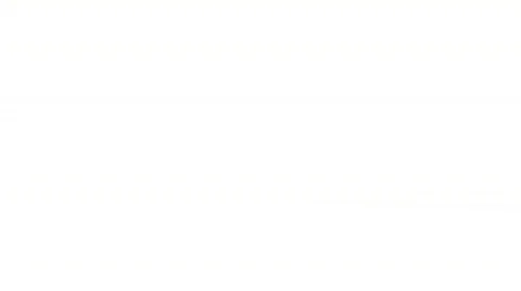 2008 Zoom Video stock 89010