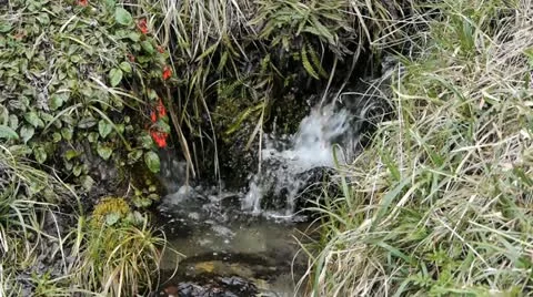 20091103 141532 Stock Footage 11385778