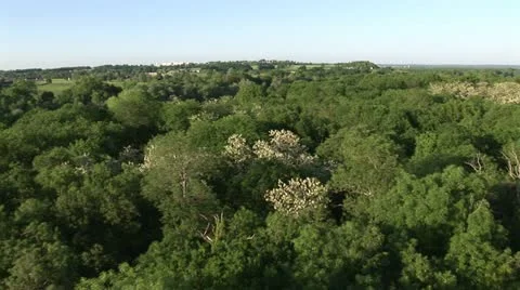 20100524-Nevers 動画素材 22017081