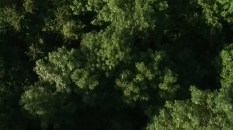 20100524-Nevers Stock Footage 22019718