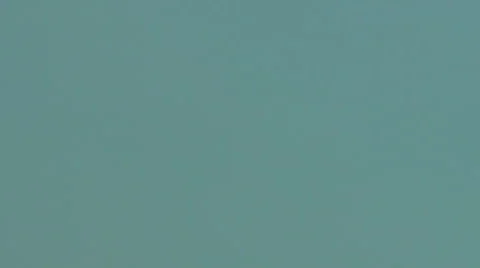 2011 Supermoon rise Video stock 1806591