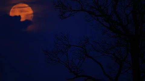 2011 Supermoon set Vídeos de archivo 1806252