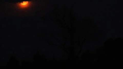 2011 Supermoon set Stock Footage 1806504