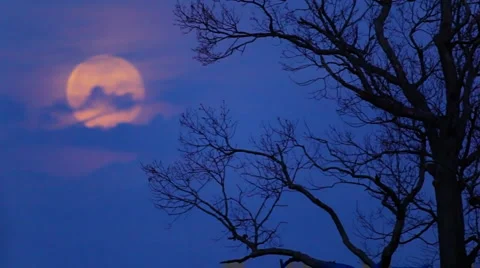 2011 Supermoon set Stock-Footage 1808439