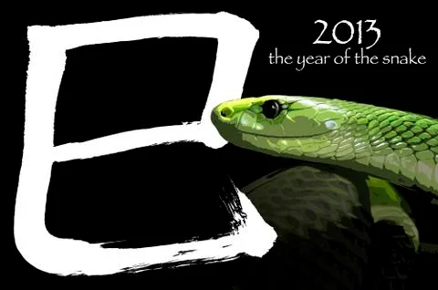 2013 the year of the snake イラスト素材