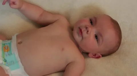 2013.02 Brady 014 Stock Footage 21041376