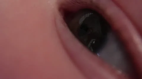 2013.02 Brady 017 Stock Footage 21041375