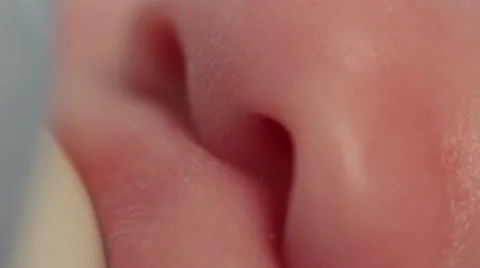 2013.02 Brady 018 Stock Footage 21042018